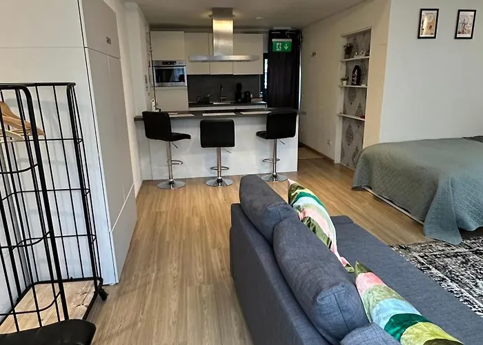 With Sauna アパート アムステルダム